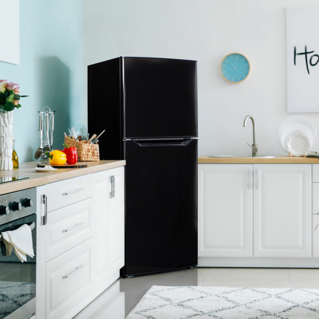 Danby 10.1 cu. ft. Top Mount Apartment Size Fridge in Black - DFF101B1BDB